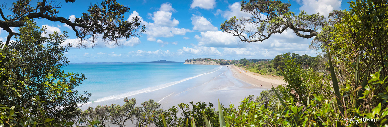 Character Home Builders on the Hibiscus Coast